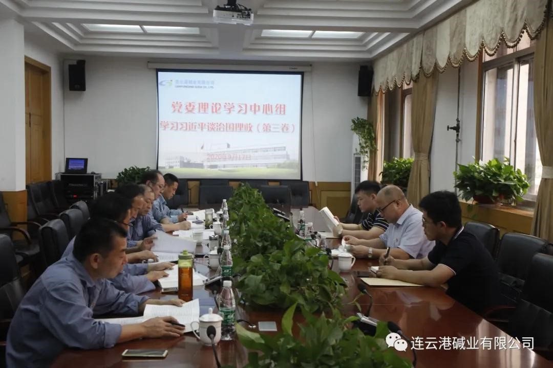 市國資委到公司巡學旁聽黨委理論學習中心組專題學習研討